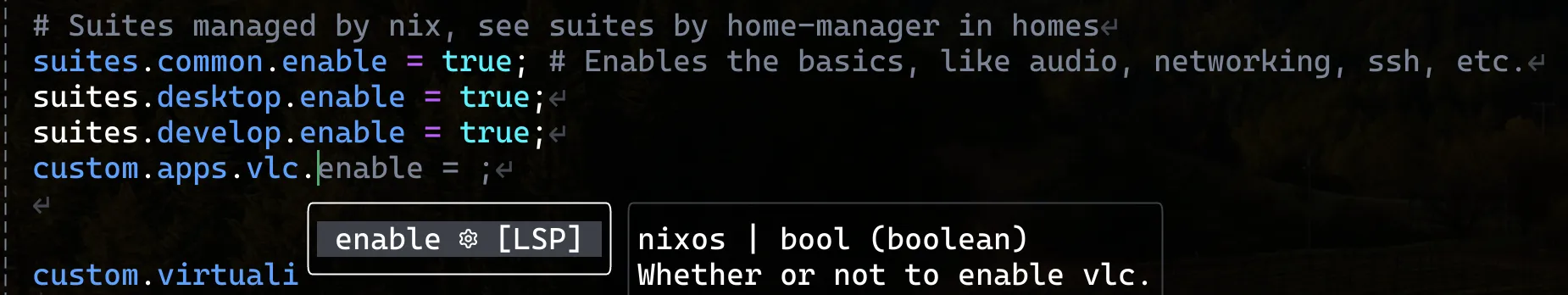 nixd LSP completion in neovim